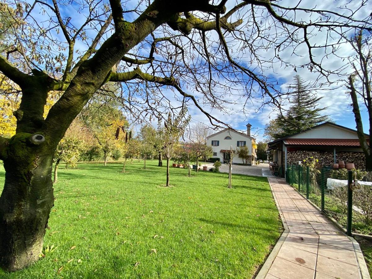 Il Canto Del Gallo B&B Zenson di Piave Esterno foto