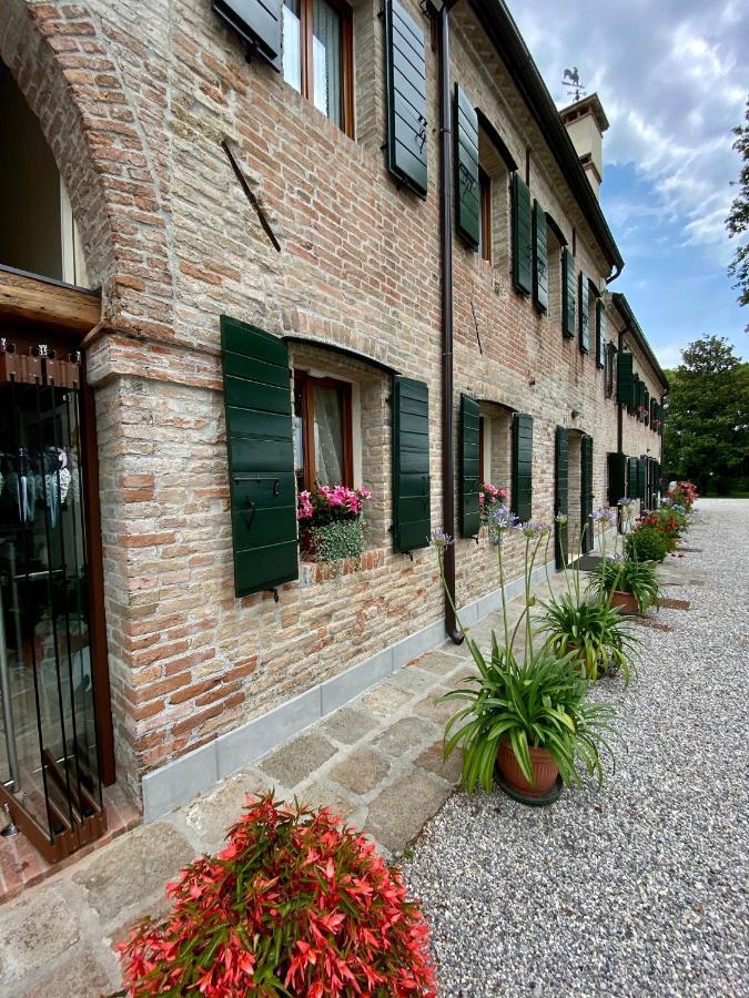 Il Canto Del Gallo B&B Zenson di Piave Esterno foto