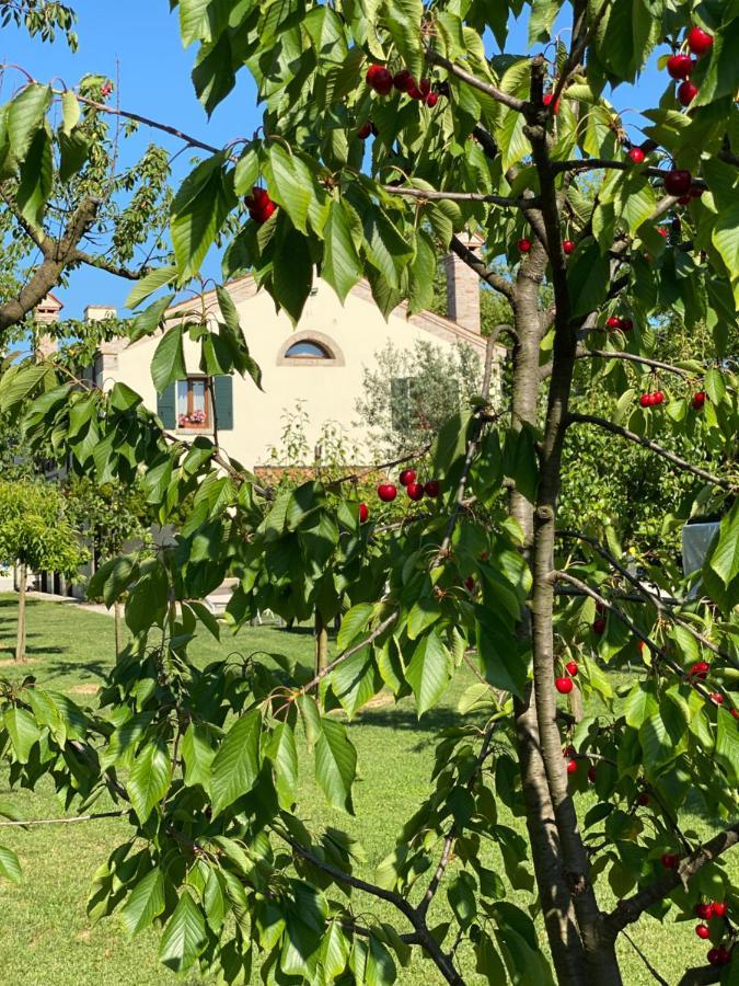 Il Canto Del Gallo B&B Zenson di Piave Esterno foto