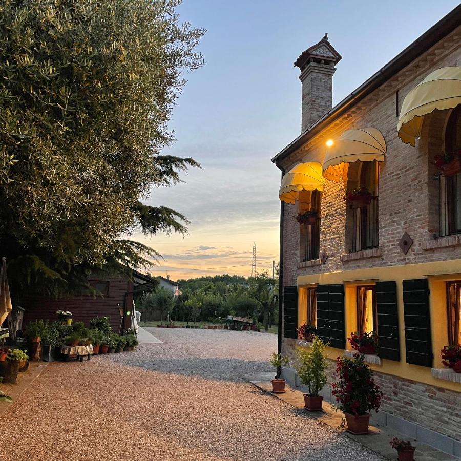 Il Canto Del Gallo B&B Zenson di Piave Esterno foto